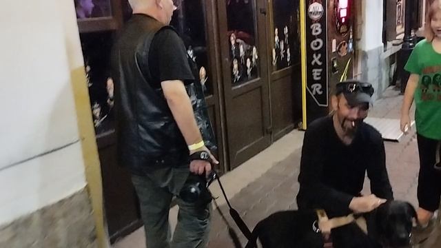 Казаринов Абдулов Храбунов Жил Был Пёс @ Money Honey @ Моя Жизнь Кино @ Музей Псов