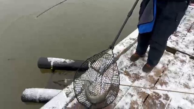 Поимка спорт зона смотреть онлайн