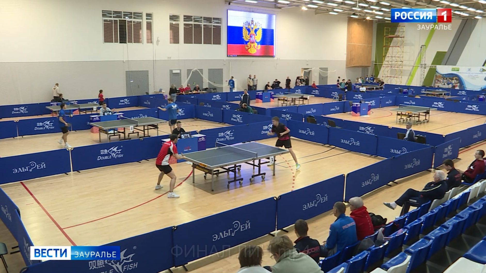 В Кургане завершился Кубок России по спорту лиц с интеллектуальными нарушениями смотреть онлайн