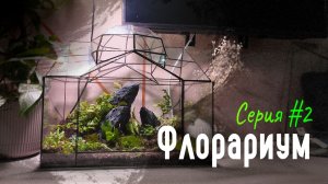 ОАЗИС внутри хрустального дворца / ФЛОРАРИУМ с нуля Часть 2