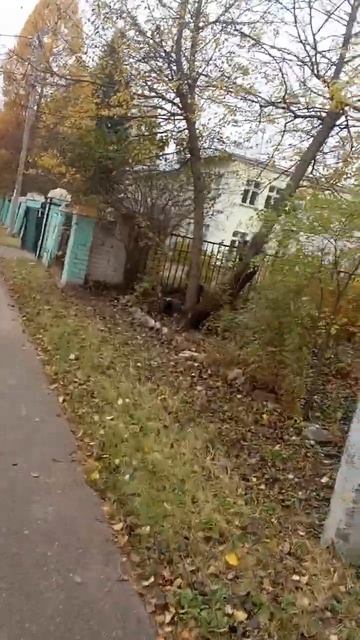 Рёв наших МИГов смотреть онлайн