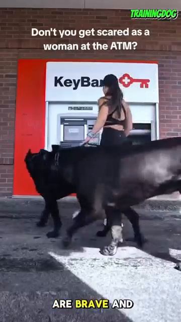 Охрана у банкомата смотреть онлайн