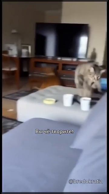 Мы скоро поедем в приют... смотреть онлайн