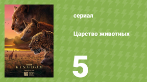 Царство животных 5 серия (документальный сериал, 2025)