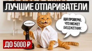 ТОП—5: Лучшие ВЕРТИКАЛЬНЫЕ ОТПАРИВАТЕЛИ до 5000 рублей (2025) || Рейтинг лучших отпаривателей
