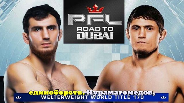 Россияне Курамагомедов и Мусаев разыграют титул PFL в полусреднем весе смотреть онлайн