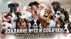 Задание 13: собаки | Подробный разбор для ОГЭ по биологии | Умскул