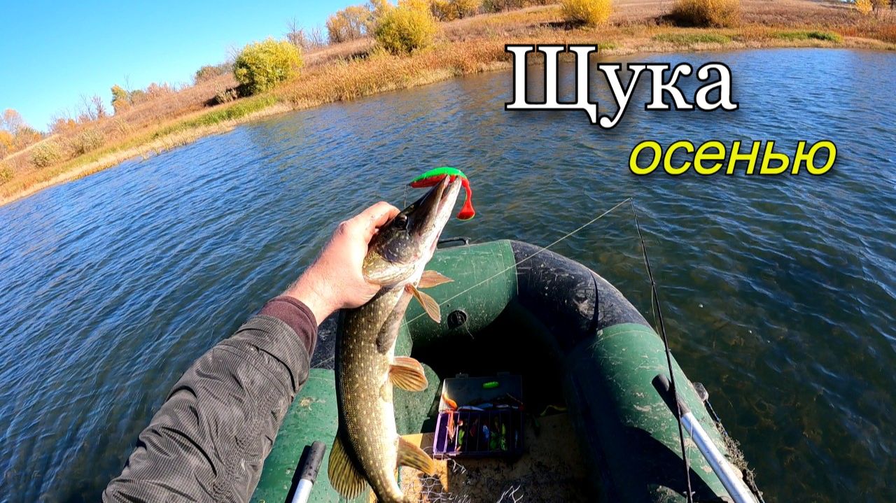 Осенняя рыбалка на хищника. Ловля щуки на поверхностные приманки. Часть 2 смотреть онлайн