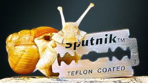 ЧТО БУДЕТ, ЕСЛИ ПУСТИТЬ УЛИТКУ ПО ЛЕЗВИЮ!