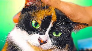 7 ЛАЙФХАКОВ КОТОРЫЕ УПРОСТЯТ ВАШУ ЖИЗНЬ