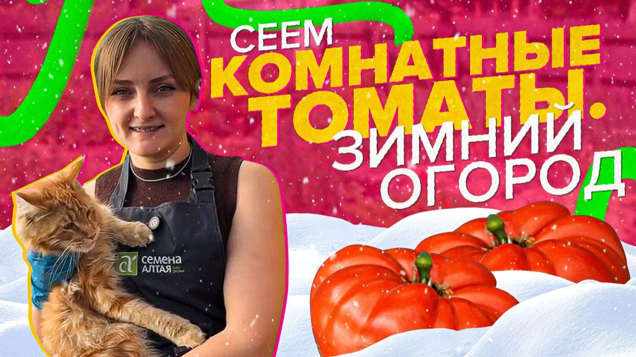 СЕЕМ ТОМАТЫ ДЛЯ ЗИМНЕГО ОГОРОДА смотреть онлайн