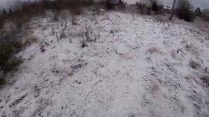 охота на зайца снайперский выстрел