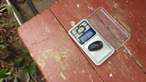 Карвина,сорт Польской селекции, на участке Шульгинова В.Н.