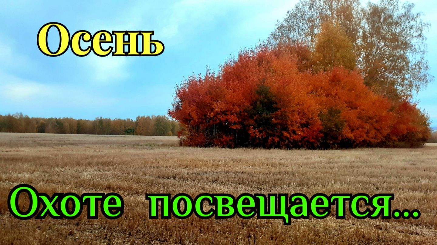 Охотничьей осени посвящается | Фото кадры