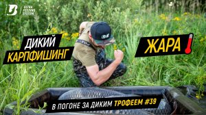 Дикий карпфишинг в жаркую погоду. Ловля карпа. В погоне за диким трофеем #39.