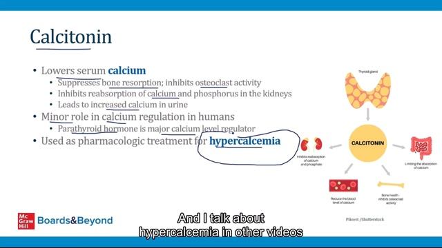 1. Thyroid Anatomy and Physiology смотреть онлайн