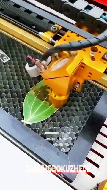 Интересная разработка Для создания портеров на листьях.