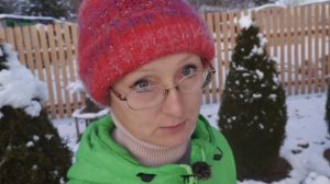 Видео привет с 6 соток 16 ноября 2025 года