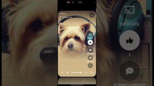 мои настоящие хиты