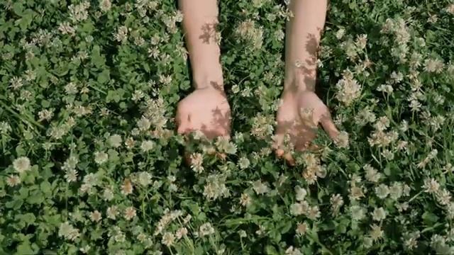 Ромашки смотреть онлайн