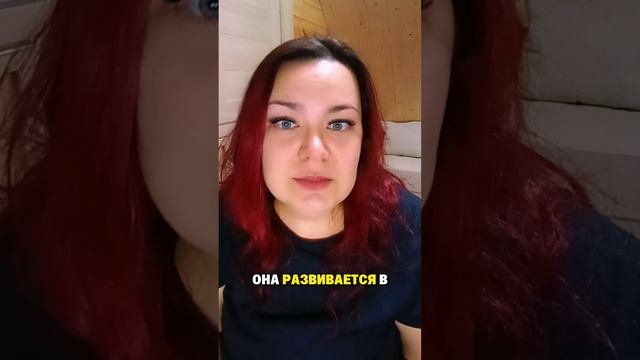 Из практики регресса смотреть онлайн