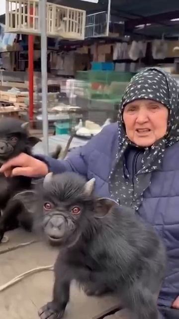 Чёртики