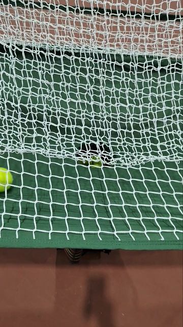 используем теннисную пушку