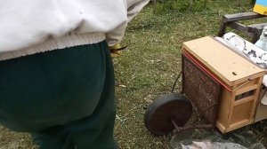 Как СДЕЛАТЬ ОТВОДОК ПЧЁЛ БЫСТРО ! Вырезаем МАТОЧНИК ! Как вырезать маточник пчелы и вставить в сот !