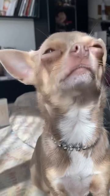 Со всех стотон