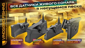 Тест всех датчиков живого сонара по несущемуся песку | Максим Арестов