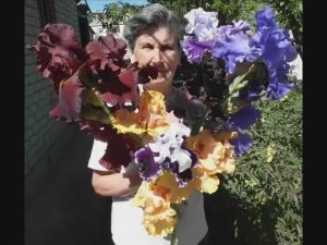 ИРИСЫ - сорта с крупными цветами