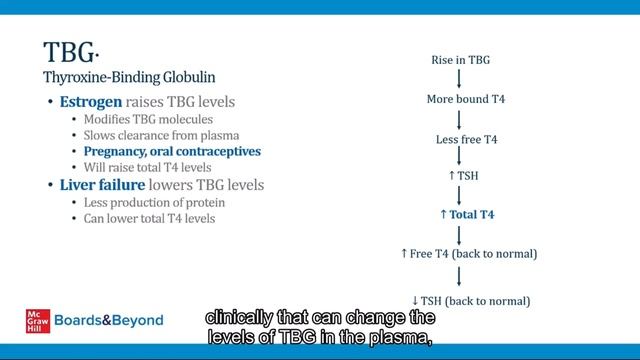 2.Thyroid Hormone Synthesis § Lab смотреть онлайн