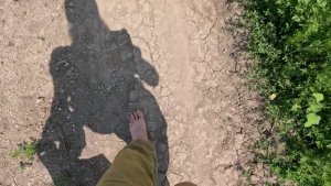 2025-07-29 ПОШЛИ СОБИРАТЬ ТРАВУ