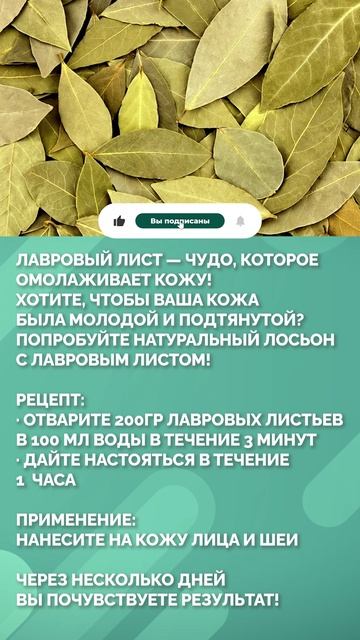 ЛУЧШЕЕ средство для ОМОЛОЖЕНИЯ за копейки! #здоровье #красота #молодость смотреть онлайн