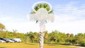 Что внутри яйца? Увлекательные приключения с Майей, Машей и Мией!