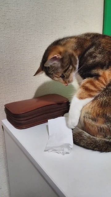 Что это? Зачем это, скучное какое.. смотреть онлайн