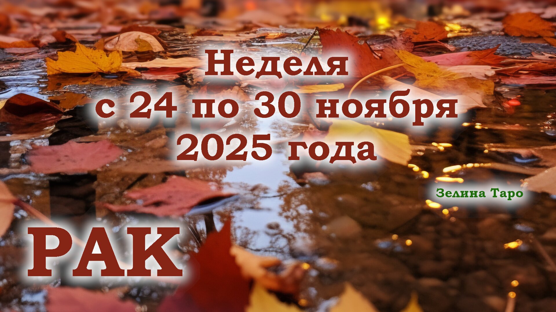 РАК | ТАРО прогноз на неделю с 24 по 30 ноября 2025 года