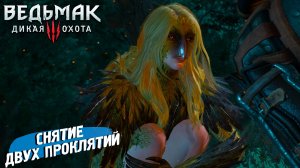 СНЯТИЕ ДВУХ ПРОКЛЯТИЙ ➤ Ведьмак 3 Дикая Охота #94