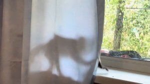 Мы чуть не ЛОПНУЛИ ОТ СМЕХА! Финик трюкач, научился В ПОЛЕТЕ СНИМАТЬ ПАМПЕРС!))