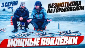 Не поверите, что поймали на Горьковском — платва и гигантский окунь/Аэролодки и Вездеходы Север