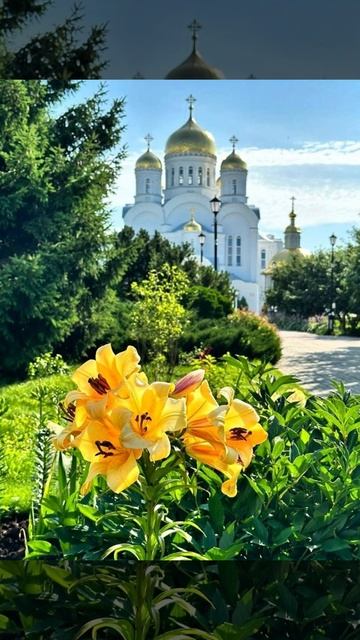 Душевный лекарь#Церковь#shortvideo#shorts#Молитва#Православие смотреть онлайн