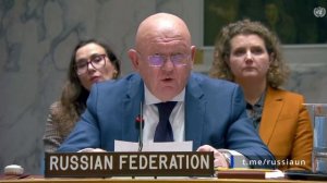 Выступление В.А.Небензи на заседании Совета Безопасности ООН по Украине, Нью-Йорк, 20 ноября 2025