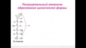 ЛЕКЦИЯ 5. МОНОСАХАРИДЫ