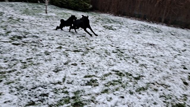 Дружба смотреть онлайн