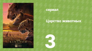 Царство животных 3 серия (документальный сериал, 2025)