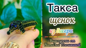 Такса из бисера / Животные из бисера / Объёмное бисероплетение / Как плести из бисера /