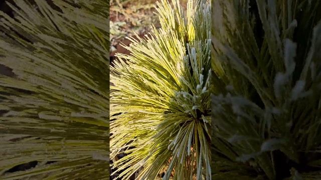 У природы нет плохой погоды смотреть онлайн