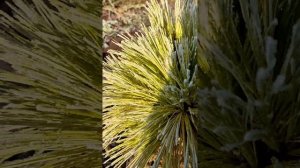 У природы нет плохой погоды