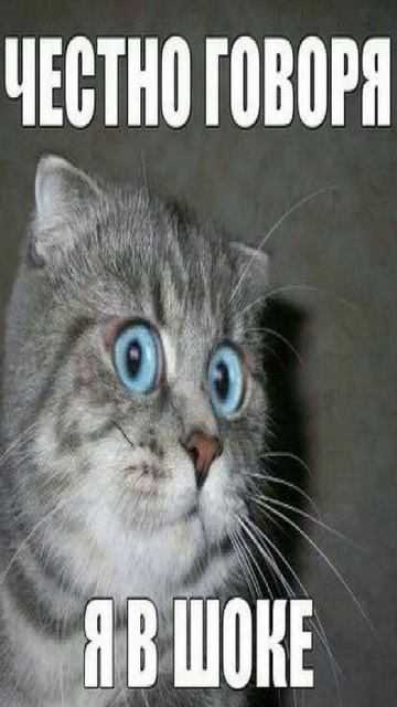 Сколько лет должно пройти, чтобы долг “устарел”