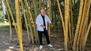 Этот Шлягер Покорил уже Миллионы Людей! "Не бабник"